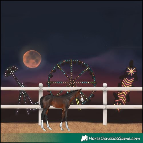 Horse Color:Brown 