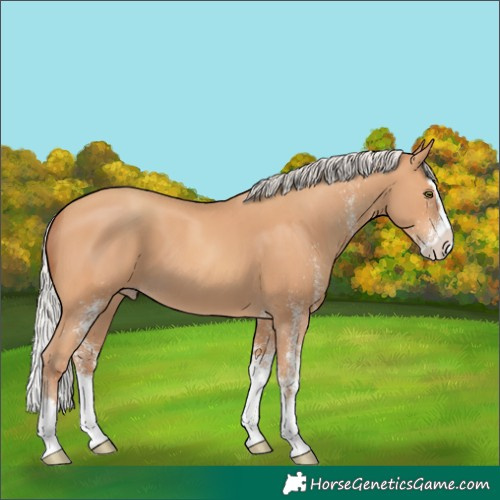 Horse Color:White Spotted Silver Amber Champagne Splash 