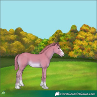 Horse Color:Watercolor Chestnut 
