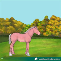 Horse Color:Watercolor Silver Black 