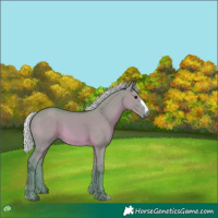 Horse Color:Watercolor Silver Grullo Sabino 