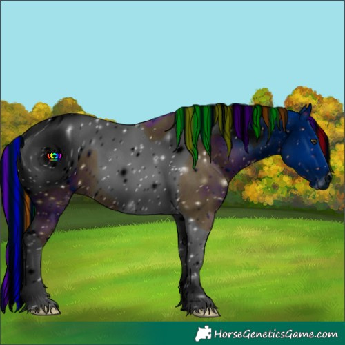 Horse Color:ERROR: UNKNOWN ANOMALY