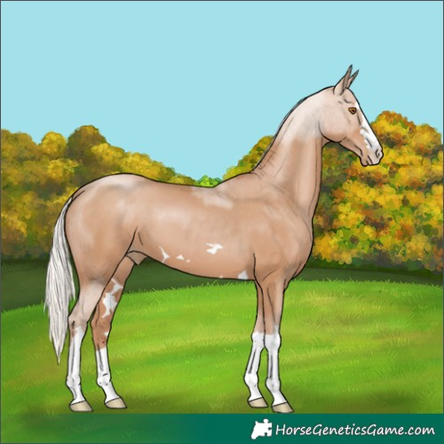 Horse Color:Silver Black Pearl 