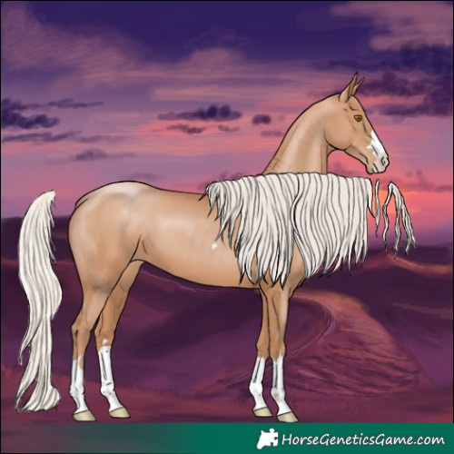 Horse Color:Silver Black Pearl 