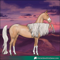 Horse Color:Silver Black Pearl Rabicano 