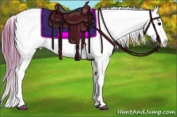 Horse Color:Watercolor Brown Appaloosa  Brindle