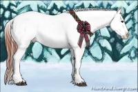 Horse Color:Brown Roan Appaloosa  Brindle