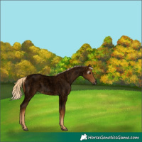Horse Color:Gray Void Palomino Roan Rabicano