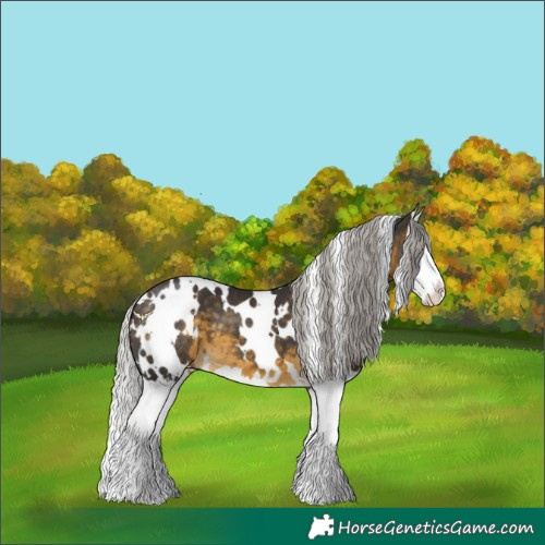 Horse Color:White Spotted Silver Buckskin Splash 