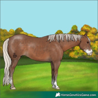 Horse Color:Silver Black Sabino
