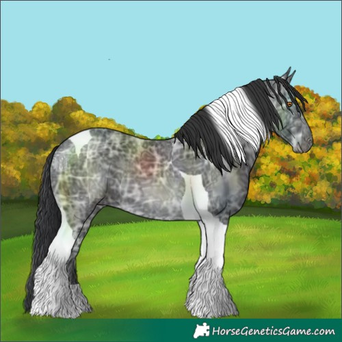 Horse Color:Black Ice Tobiano 