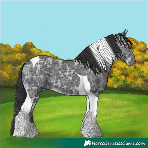 Horse Color:Black Ice Tobiano 