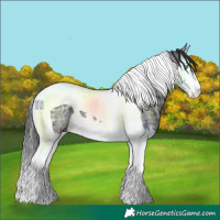 Horse Color:Black Ice Sabino Splash Tobiano 