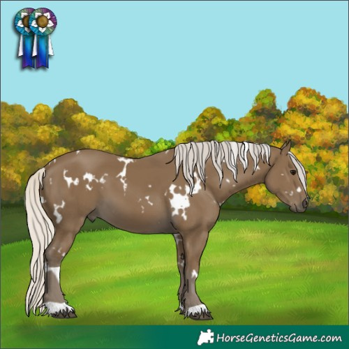 Horse Color:White Spotted Silver Smoky Black 