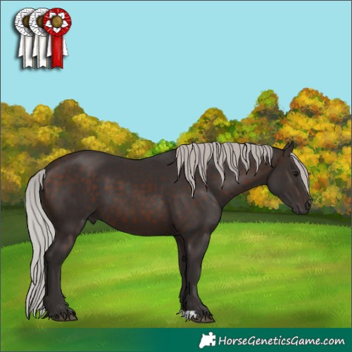 Horse Color:Silver Brown 