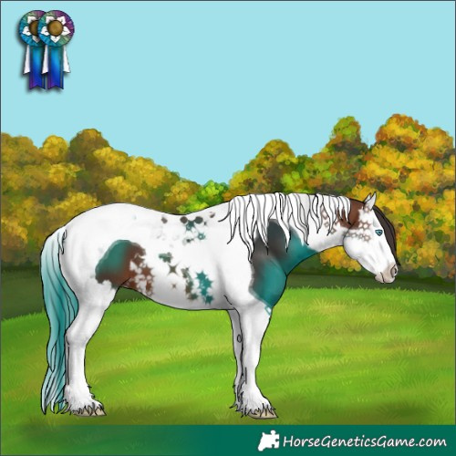 Horse Color:Brown Splash Tobiano 