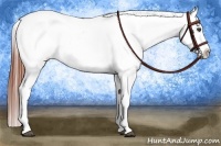 Horse Color:Brown Appaloosa Brindle
