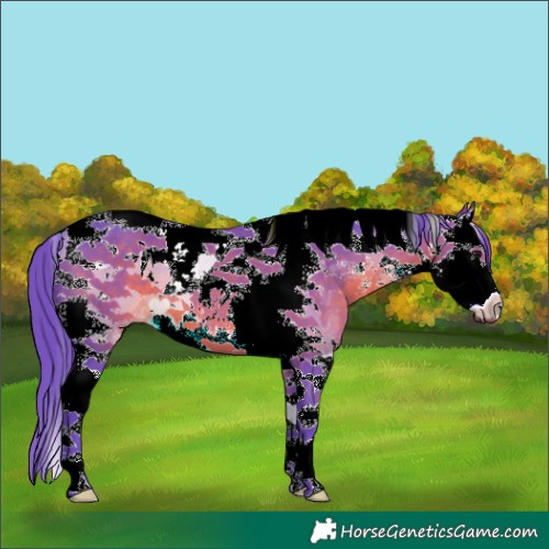 Horse Color:Watercolor Brown Sabino Splash Tobiano 