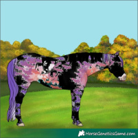 Horse Color:Watercolor Brown Sabino Splash Tobiano 