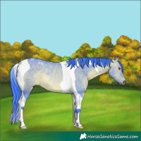 Horse Color:Watercolor Bay Chinchilla Dun Tobiano Rabicano 