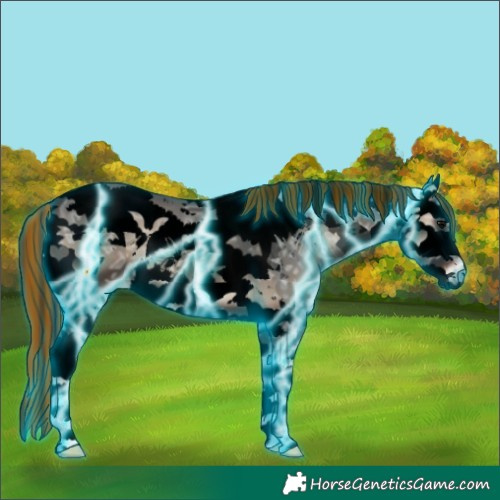 Horse Color:Void Painted Thunderstruck Blue Onyx Ice Splash Tobiano 