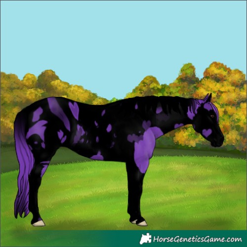 Horse Color:ERROR: UNKNOWN ANOMALY