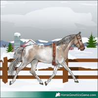 Horse Color:White Spotted Silver Grullo Tobiano Rabicano 