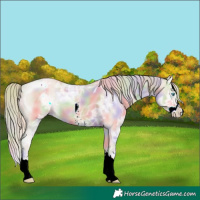 Horse Color:Nacre Smoky Creme Ice Sabino Splash 