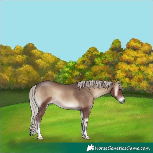 Horse Color:Silver Blue Onyx 