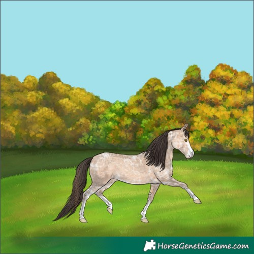 Horse Color:Amber Champagne Ice 