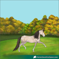 Horse Color:Amber Champagne Ice 
