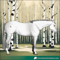Horse Color:Gray Grullo 
