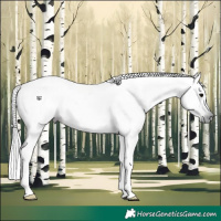 Horse Color:Gray Grullo 