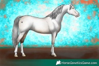 Horse Color:Gray Amber Champagne Dun 