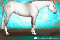 Horse Color:Gray Silver Grullo 