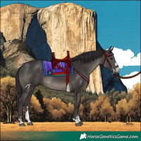 Horse Color:Smoky Black 