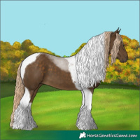 Horse Color:Chocolate Palomino Tobiano