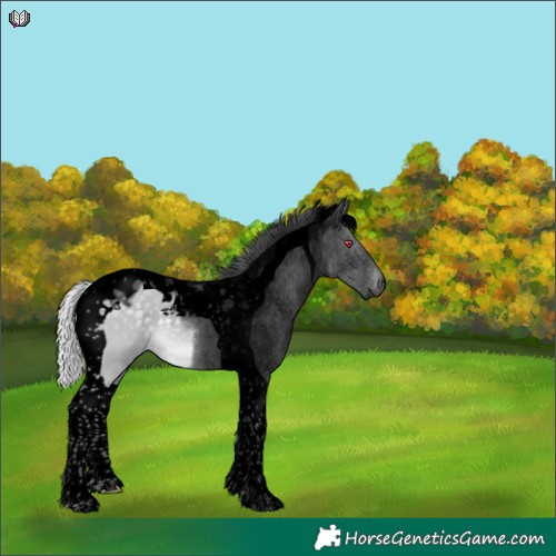 Horse Color:Void Silver Grullo Chinchilla Tobiano
