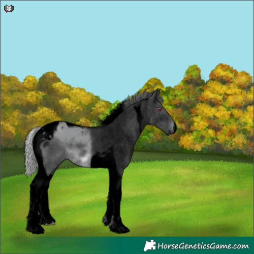 Horse Color:Void Silver Grullo Chinchilla Tobiano 