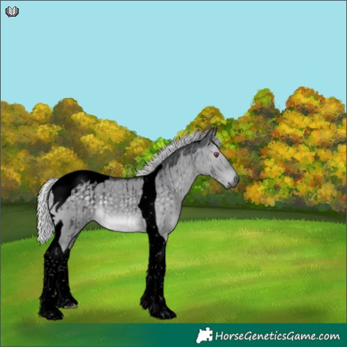 Horse Color:Void Silver Grullo Chinchilla Tobiano Brindle