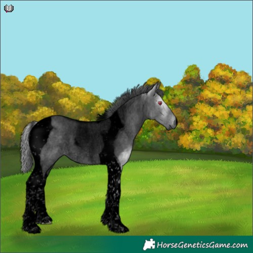Horse Color:Void Silver Grullo Chinchilla Tobiano 