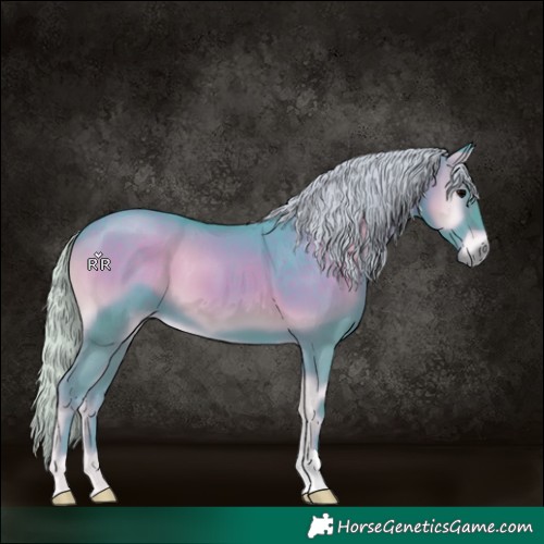 Horse Color:Watercolor Silver Blue Onyx 