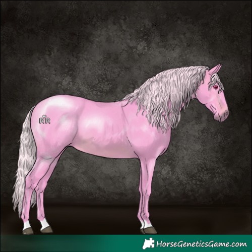 Horse Color:Watercolor Silver Brown Chinchilla 