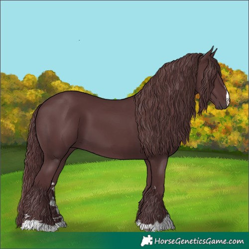 Horse Color:Chocolate Black Chinchilla 