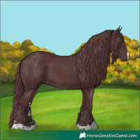 Horse Color:Chocolate Black Chinchilla 