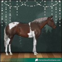 Horse Color:Silver Brown Tobiano 