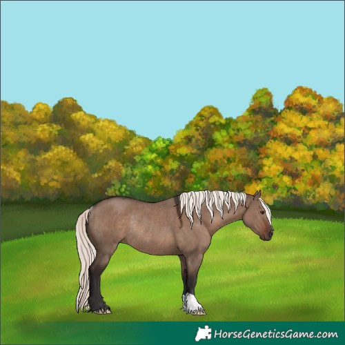Horse Color:Liver Red Dun Mushroom Rabicano