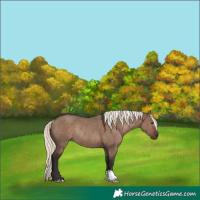 Horse Color:Liver Red Dun Mushroom Rabicano