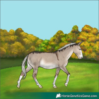 Horse Color:Liver Red Dun Mushroom 