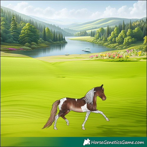 Horse Color:Liver Chestnut Tobiano Rabicano 